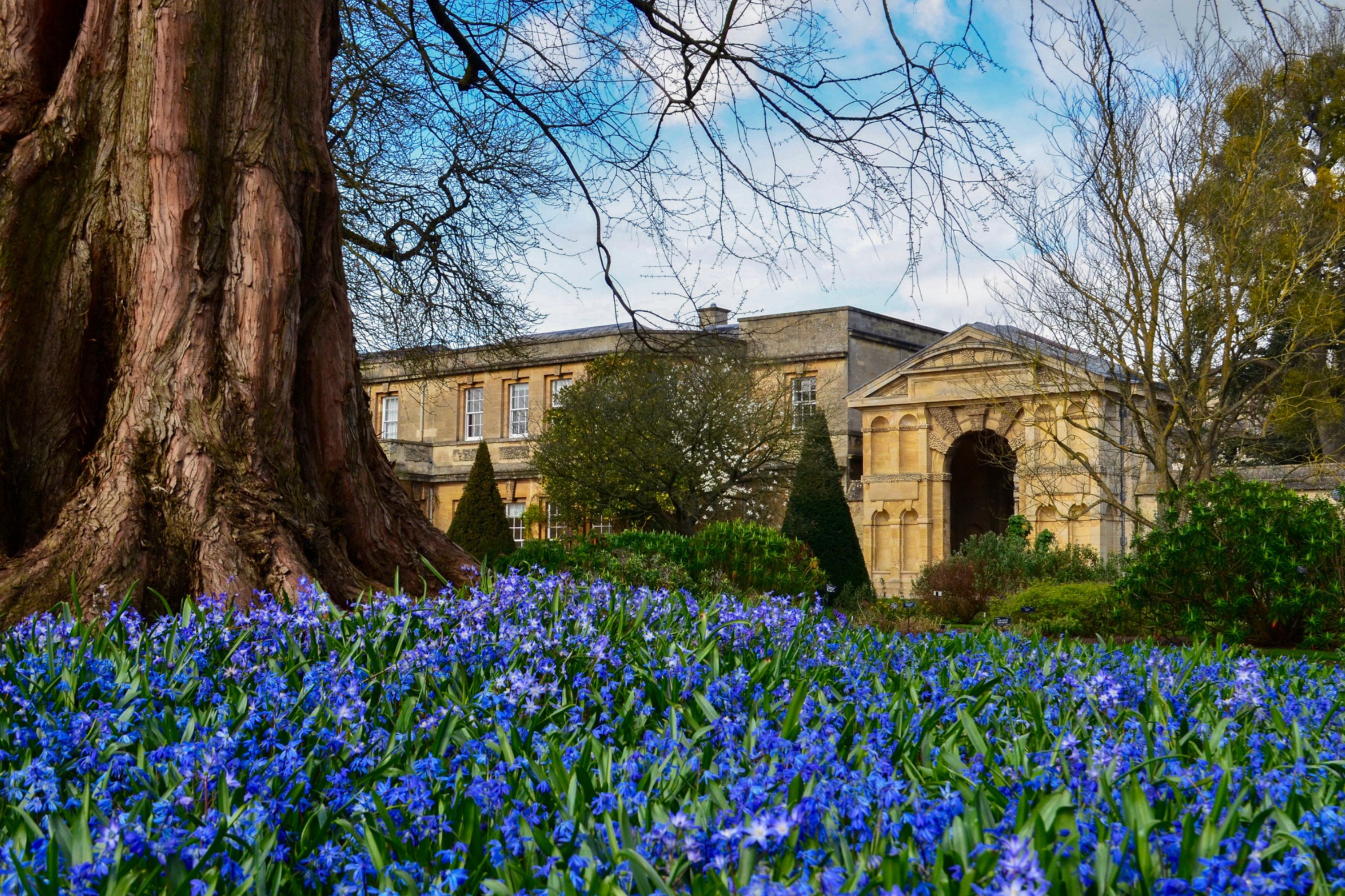 oxford-botanic-garden-oxford-bus-company-and-thames-travel