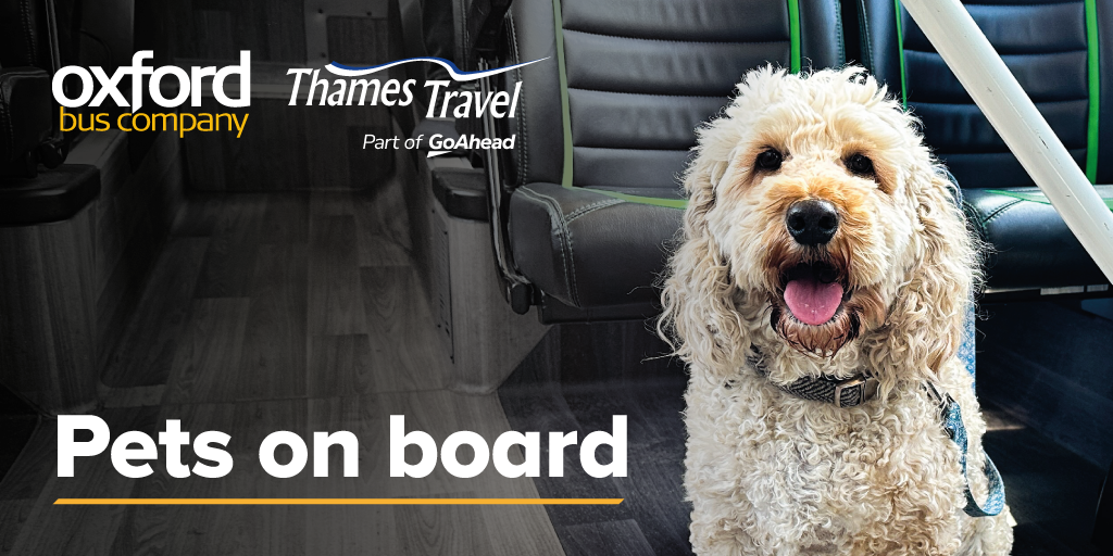 The image shows a photograph of a dog sitting on a bus. At the top right, there are logos for the Oxford Bus Company and Thames Travel. To the left of the dog, the text "Pets on Board" is displayed.