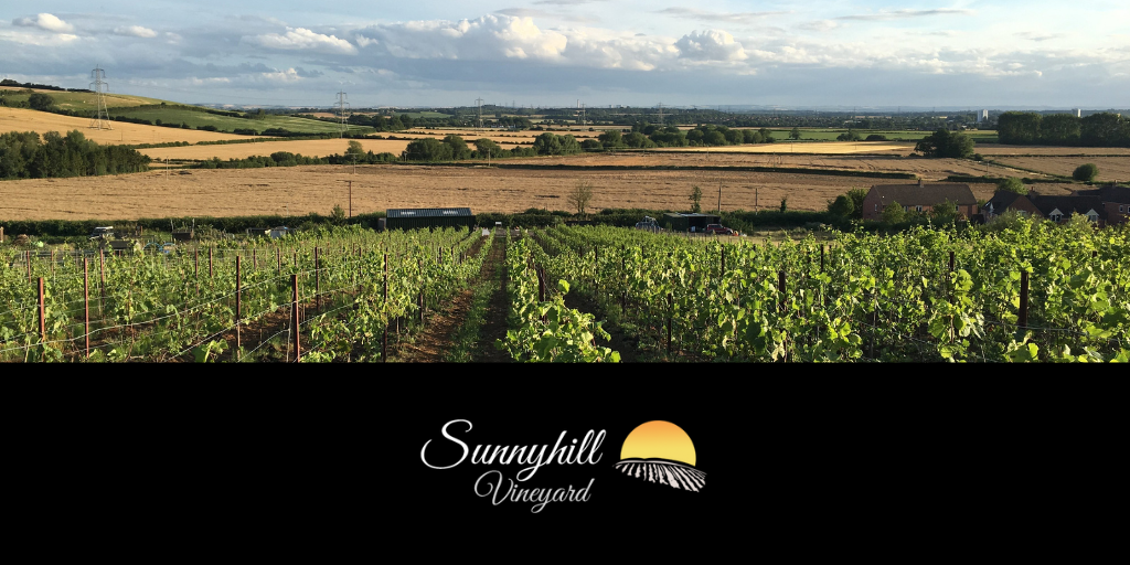 Sunnyhill Vineyard