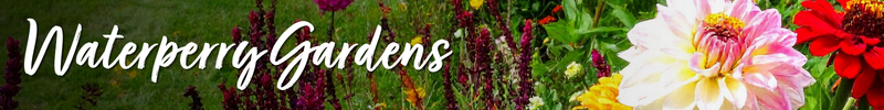 Waterperry Gardens