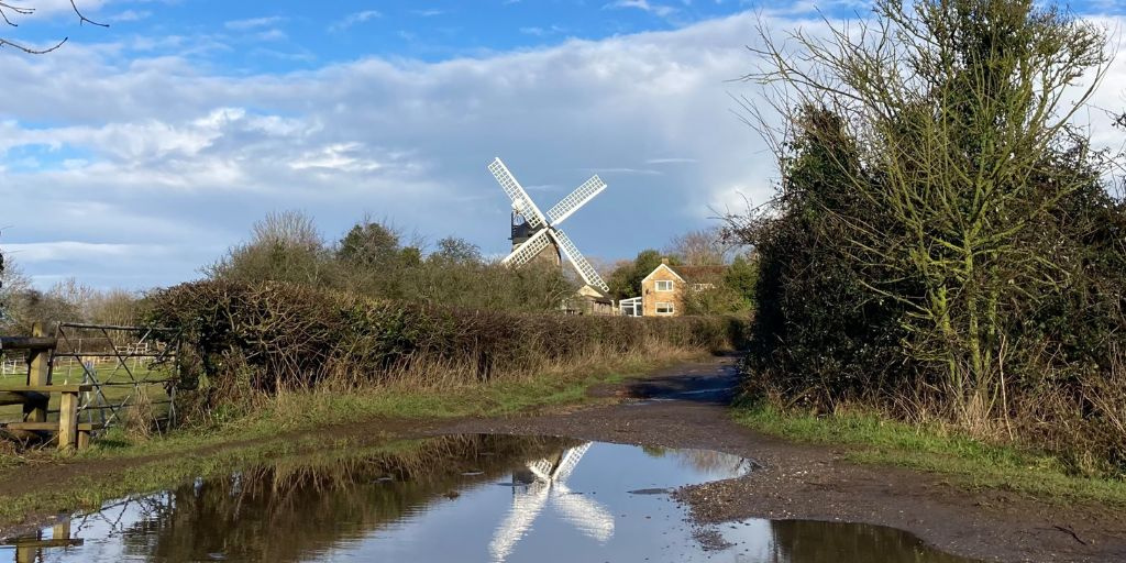 The sails of Wheatley windmill peer above a hedgerow.