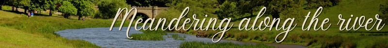Meandering alongside the river