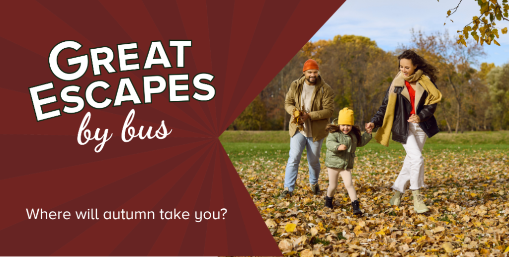 Great Escapes by Bus, Where will autumn take you?